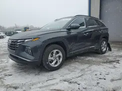 5NMJBCAE8PH166402 2023 HYUNDAI TUCSON