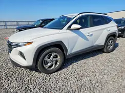 5NMJBCAE8PH210138 2023 HYUNDAI TUCSON