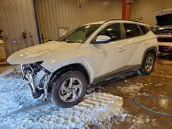 5NMJBCAE8PH217817 2023 HYUNDAI TUCSON