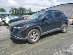 5NMJBCAE8PH227795 2023 HYUNDAI TUCSON