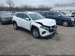 5NMJBCAE8PH258139 2023 HYUNDAI TUCSON