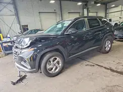 5NMJBCAE8PH259260 2023 HYUNDAI TUCSON