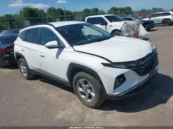 5NMJBCAE8PH260067 2023 HYUNDAI TUCSON