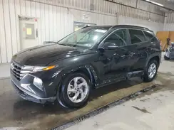 5NMJBCAE8PH264586 2023 HYUNDAI TUCSON