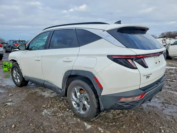 5NMJBCAE8PH281145 2023 HYUNDAI TUCSON - Image 2