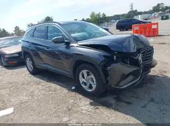 5NMJBCAE8PH286149 2023 HYUNDAI TUCSON