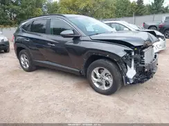 5NMJBCAE8PH287334 2023 HYUNDAI TUCSON