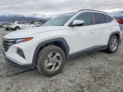 5NMJBCAE8PH288600 2023 HYUNDAI TUCSON