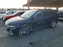 5NMJBCAE9PH223156 2023 HYUNDAI TUCSON