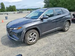 5NMJBCAE9PH250356 2023 HYUNDAI TUCSON