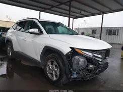 5NMJBCAEXPH175019 2023 HYUNDAI TUCSON