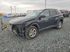 5NMJBCAEXPH179667 2023 HYUNDAI TUCSON