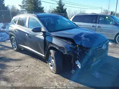 5NMJBCAEXPH191270 2023 HYUNDAI TUCSON