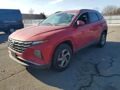 5NMJBCAEXPH195710 2023 HYUNDAI TUCSON