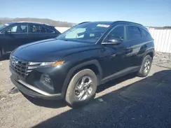 5NMJBCAEXPH221710 2023 HYUNDAI TUCSON