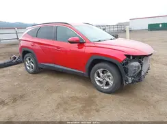 5NMJBCAEXPH227944 2023 HYUNDAI TUCSON