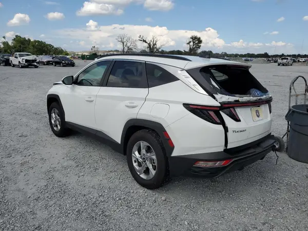5NMJBCAEXPH236305 2023 HYUNDAI TUCSON - Image 2