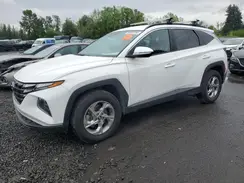 5NMJBCAEXPH237714 2023 HYUNDAI TUCSON