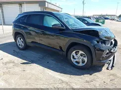 5NMJBCAEXPH249586 2023 HYUNDAI TUCSON