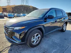 5NMJBCAEXPH266582 2023 HYUNDAI TUCSON