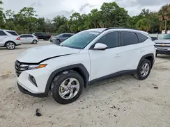 5NMJBCAEXPH271118 2023 HYUNDAI TUCSON