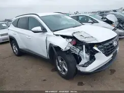 5NMJBCAEXPH289036 2023 HYUNDAI TUCSON