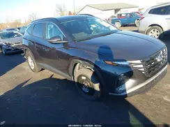 5NMJBCAEXPH290817 2023 HYUNDAI TUCSON