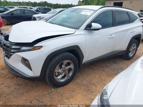 5NMJBCDE0RH301466 2024 HYUNDAI TUCSON - Image 2