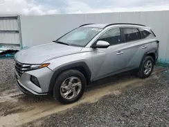5NMJBCDE0RH307106 2024 HYUNDAI TUCSON