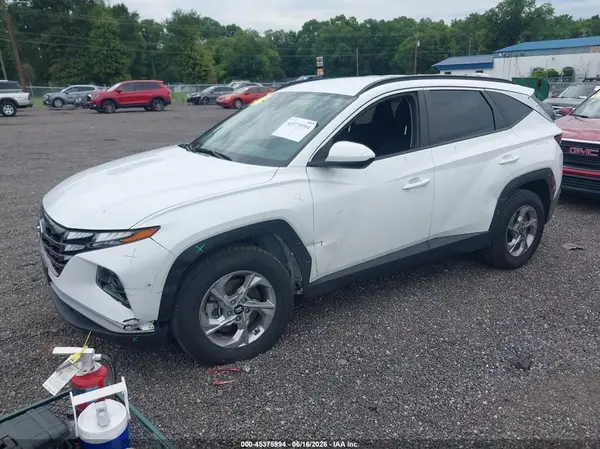 5NMJBCDE0RH352045 2024 HYUNDAI TUCSON - Image 2