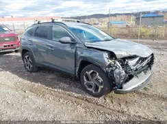 5NMJBCDE0RH423857 2024 HYUNDAI TUCSON