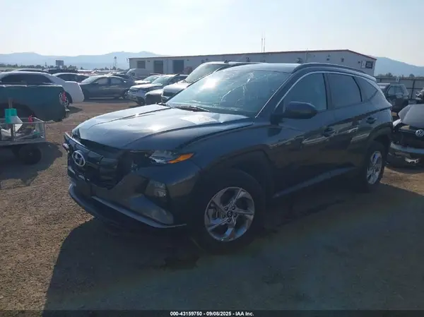 5NMJBCDE1RH299081 2024 HYUNDAI TUCSON - Image 2
