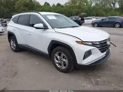 5NMJBCDE1RH384230 2024 HYUNDAI TUCSON