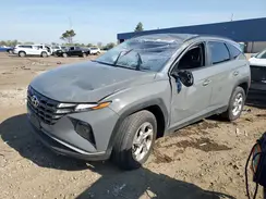 5NMJBCDE1RH422345 2024 HYUNDAI TUCSON
