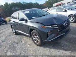 5NMJBCDE2RH342181 2024 HYUNDAI TUCSON