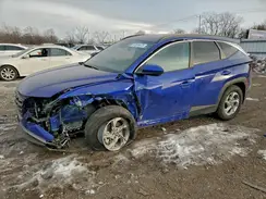 5NMJBCDE2RH365833 2024 HYUNDAI TUCSON