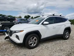 5NMJBCDE2RH392143 2024 HYUNDAI TUCSON