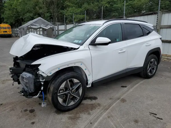 5NMJBCDE2SH460365 2025 HYUNDAI TUCSON - Image 1