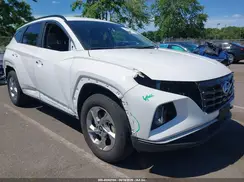 5NMJBCDE3RH314440 2024 HYUNDAI TUCSON