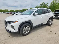 5NMJBCDE3RH329147 2024 HYUNDAI TUCSON
