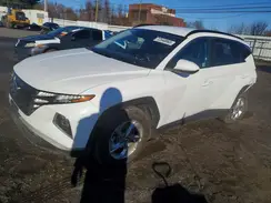 5NMJBCDE3RH342822 2024 HYUNDAI TUCSON