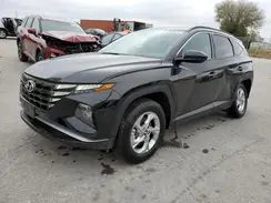 5NMJBCDE3RH350645 2024 HYUNDAI TUCSON