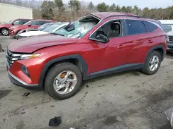 5NMJBCDE3RH410732 2024 HYUNDAI TUCSON