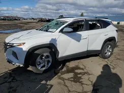 5NMJBCDE4RH310364 2024 HYUNDAI TUCSON