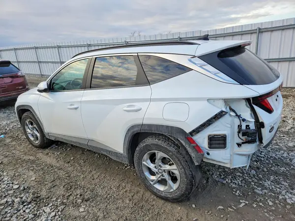 5NMJBCDE4RH384383 2024 HYUNDAI TUCSON - Image 2
