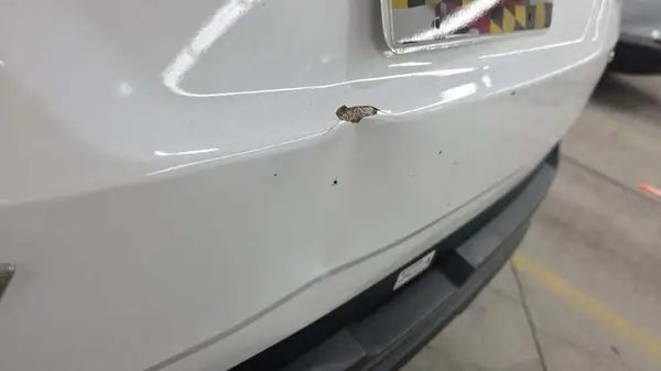 5NMJBCDE4RH386814 2024 HYUNDAI TUCSON - Image 2