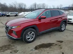 5NMJBCDE4RH414093 2024 HYUNDAI TUCSON
