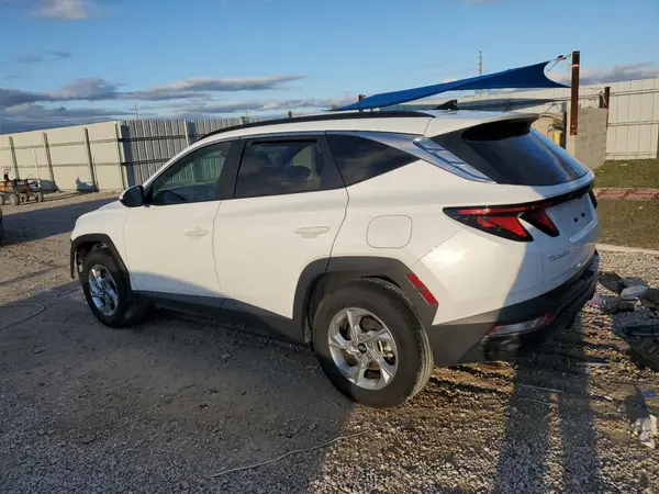 5NMJBCDE4RH422288 2024 HYUNDAI TUCSON - Image 2