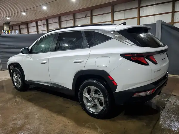 5NMJBCDE5RH297494 2024 HYUNDAI TUCSON - Image 2