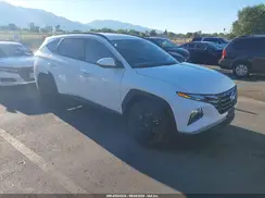 5NMJBCDE5RH324404 2024 HYUNDAI TUCSON